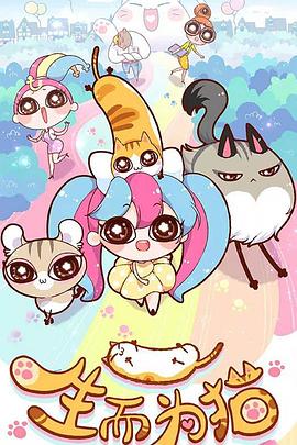 专注济南seo优化